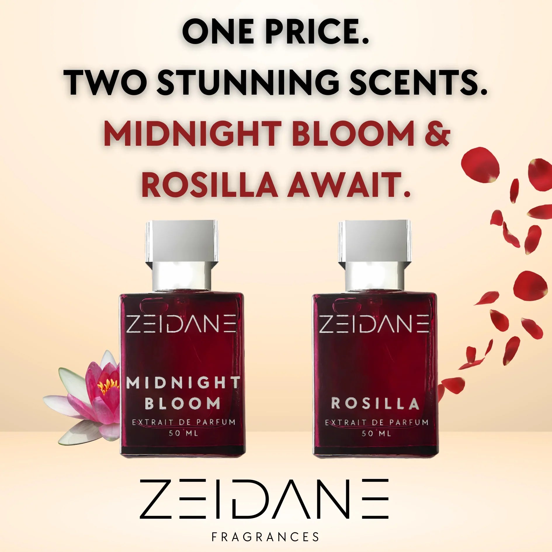MIDNIGHT BLOOM & ROSILLA